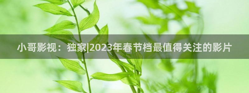 女人午夜精品久久久久久毛片天堂影视