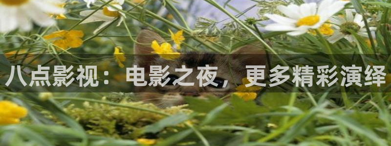神马电影天堂s级