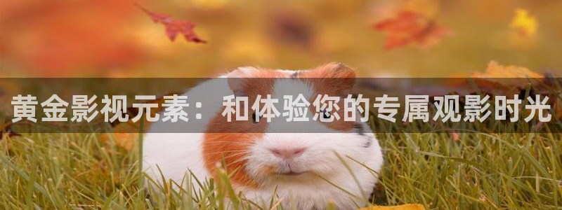 漫禁天堂网站