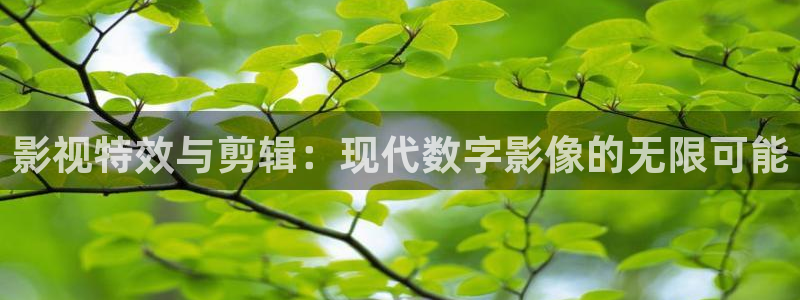 av午夜天堂