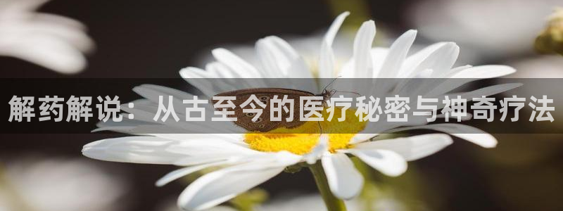 动画片天堂