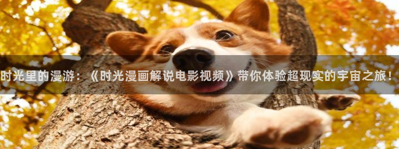 天堂影院电视剧