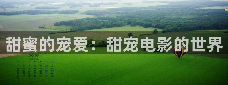日本午夜电影天堂