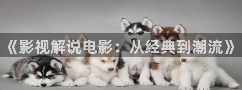 电影天堂午夜