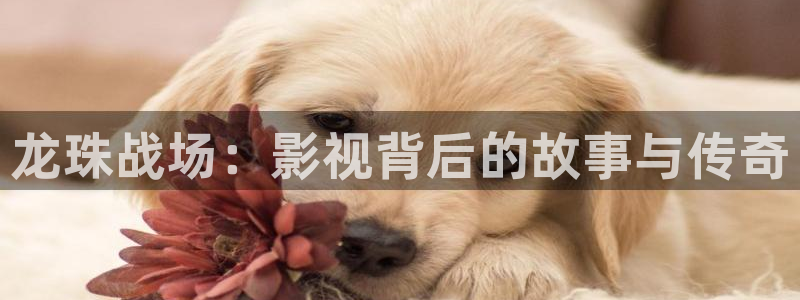 国产av电影天堂