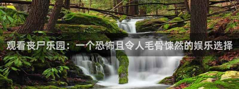 ok电影天堂伦理