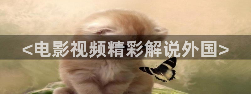 天堂电影午夜电影