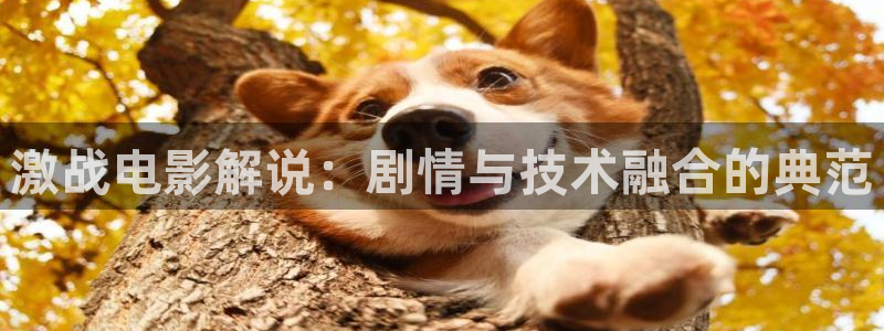 电影通午夜天堂2