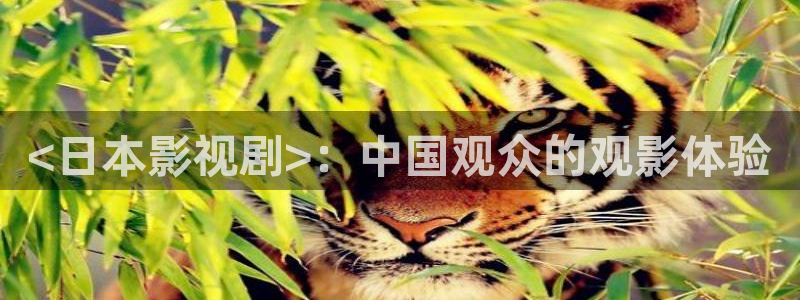 29天堂电影院在线观看