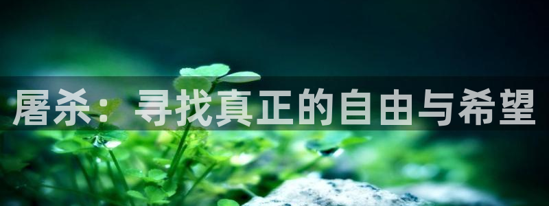 91福利国产在线观看午夜天堂