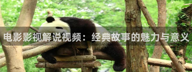 天堂影院电影在线观看