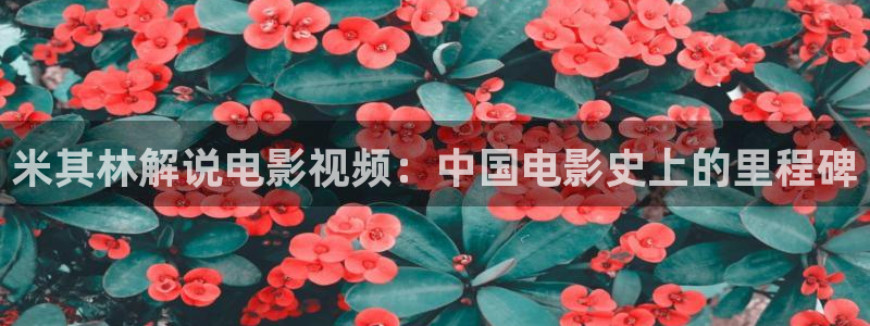 新闻图片