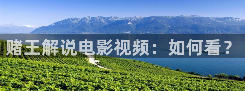 午夜天堂被窝电影网