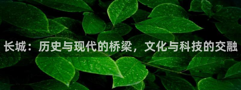 天堂无翼鸟