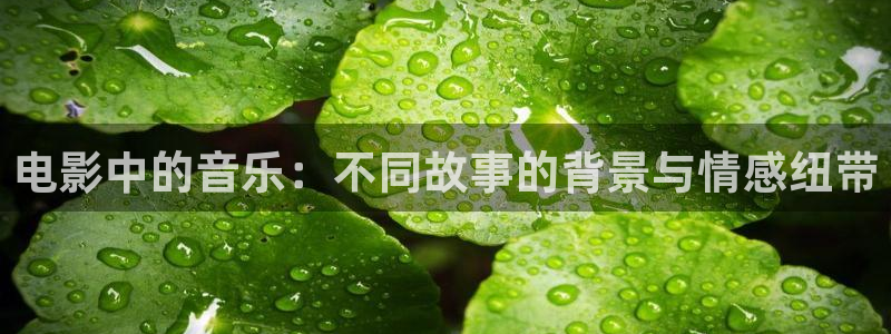成人午夜av天堂