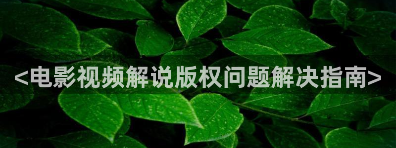 静漫天堂破解版