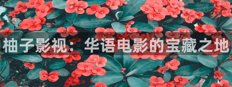 荒漫天堂