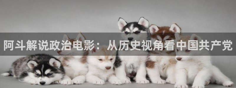神马电影网pk电影天堂