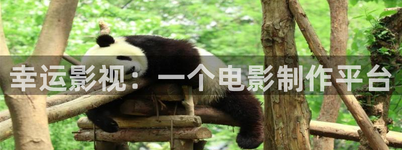 天堂影院电视剧免费观看下载