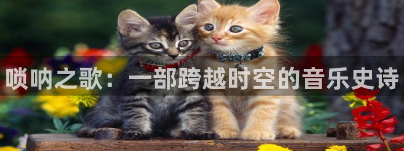 天堂网电影电视剧完整版在线观看