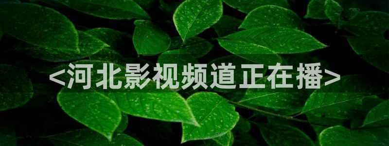 光棍天堂在线观看视频