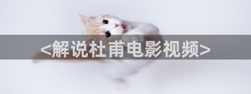 悟空电影天堂神马影视