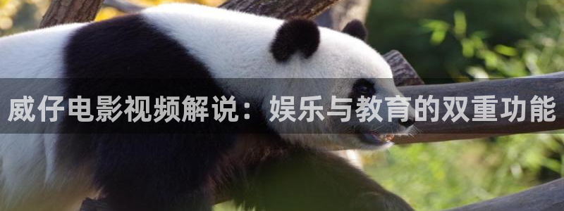 荒漫天堂