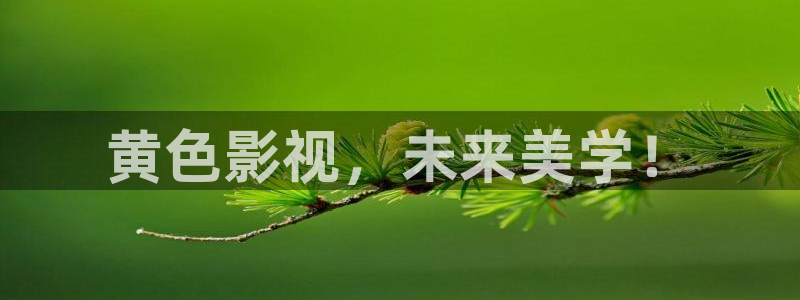 yy6080电影天堂