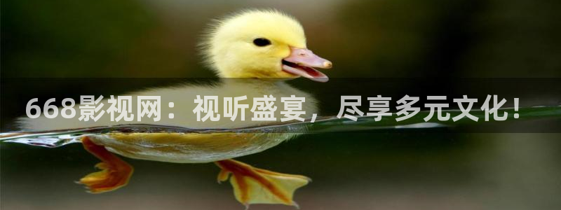 被窝电影天堂影院在线观看