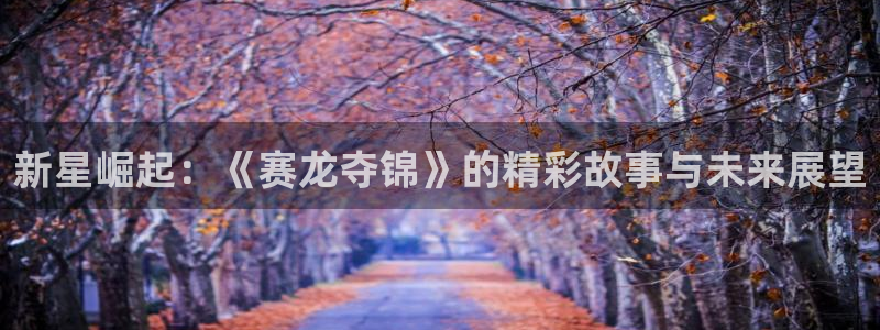 天堂影院免费观看电影电视剧