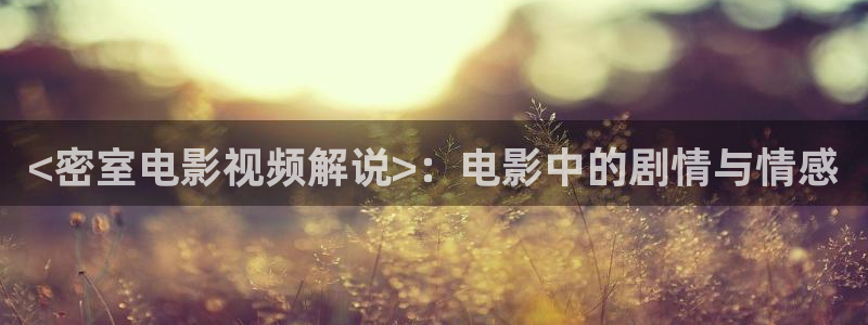 桔子电影天堂