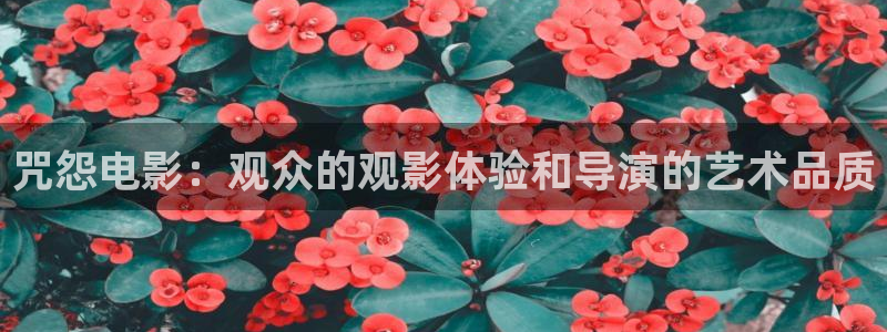 ok电影天堂神马影视