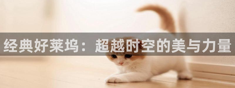 神马午夜电影天堂