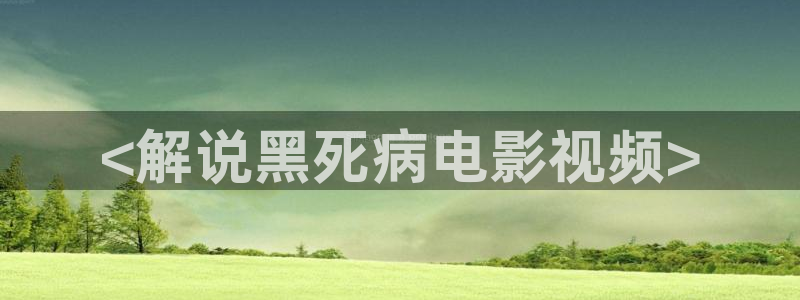光棍天堂手机2019版免费观看神马影院