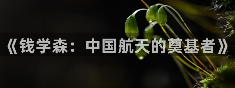 天堂韩漫在线观看